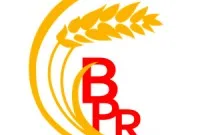 Loker Palembang Hari Ini