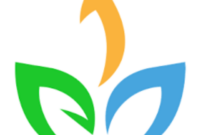 Untitled design (13) Untitled design 13